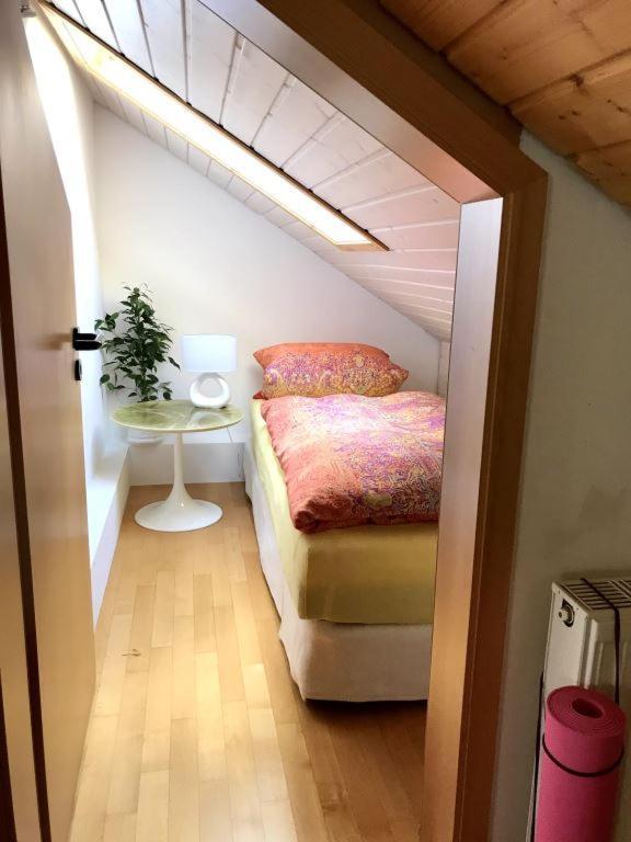 Ferienhaus Zirbe Rickenbach  Esterno foto